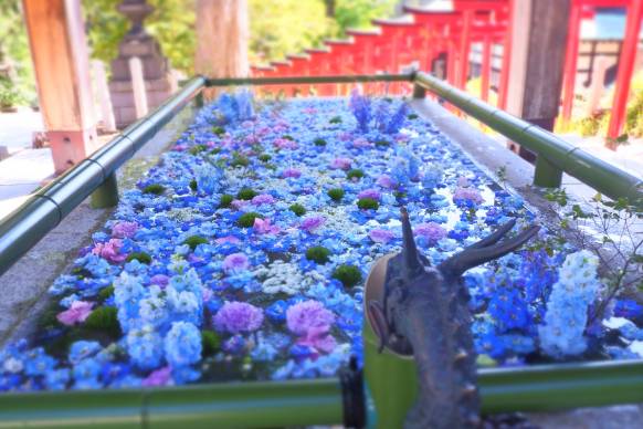 「小樽フラワー」　（北海道小樽市）の花屋店舗写真2